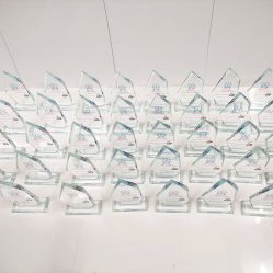 Kỷ niệm chương vát lệch